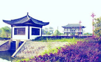 田園美景醉游人