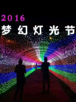 光影賦能，點亮景區(qū)新視界 探訪大型燈光藝術(shù)產(chǎn)品的制作、租售與景觀藝術(shù)融合